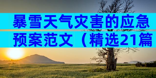暴雪天气灾害的应急预案范文（精选21篇）