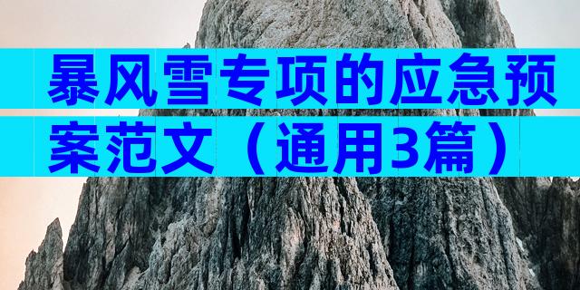 暴风雪专项的应急预案范文（通用3篇）