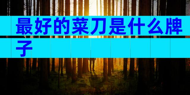 最好的菜刀是什么牌子