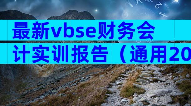 最新vbse财务会计实训报告（通用20篇）