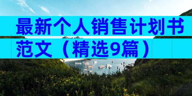 最新个人销售计划书范文（精选9篇）