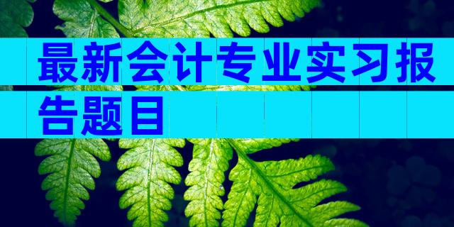 最新会计专业实习报告题目