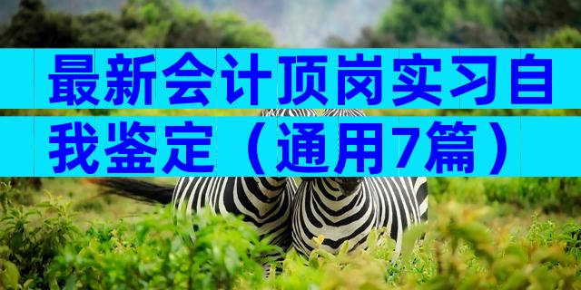 最新会计顶岗实习自我鉴定（通用7篇）