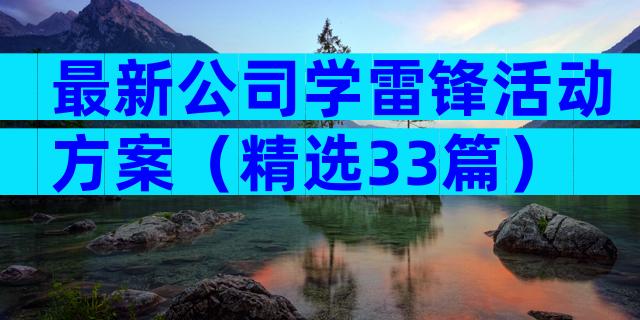 最新公司学雷锋活动方案（精选33篇）