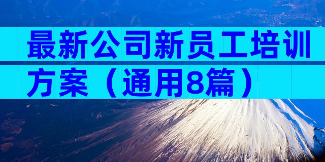最新公司新员工培训方案（通用8篇）