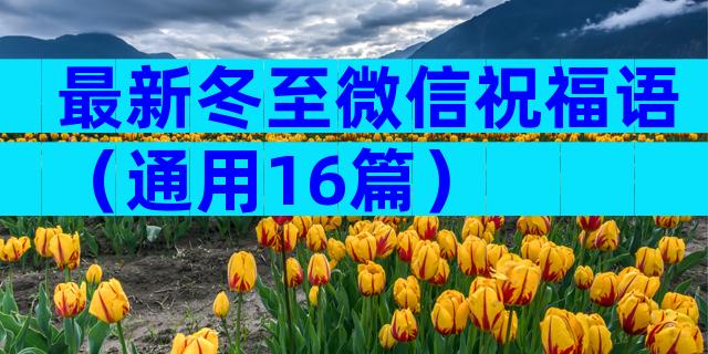 最新冬至微信祝福语（通用16篇）
