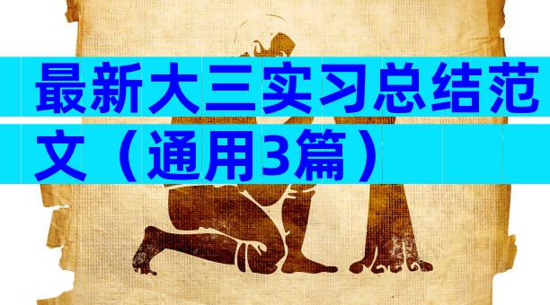 最新大三实习总结范文（通用3篇）