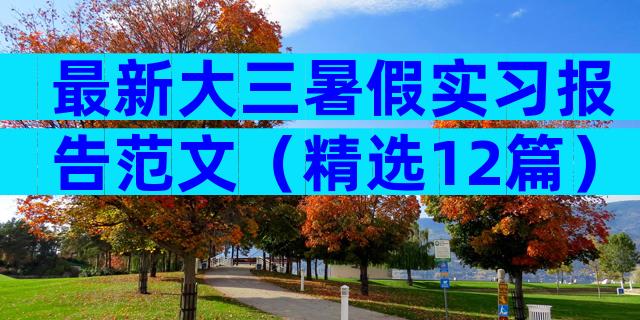 最新大三暑假实习报告范文（精选12篇）