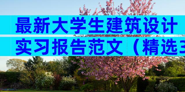 最新大学生建筑设计实习报告范文（精选3篇）