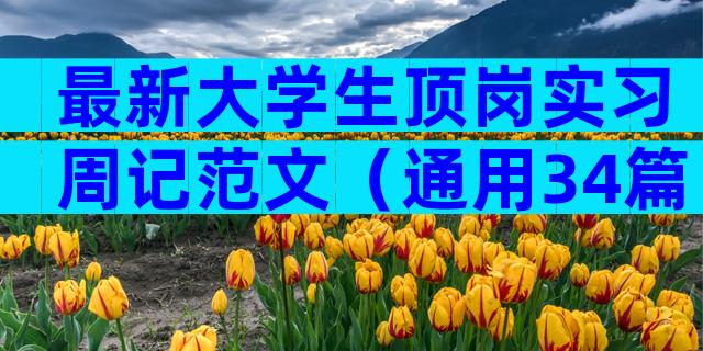 最新大学生顶岗实习周记范文（通用34篇）