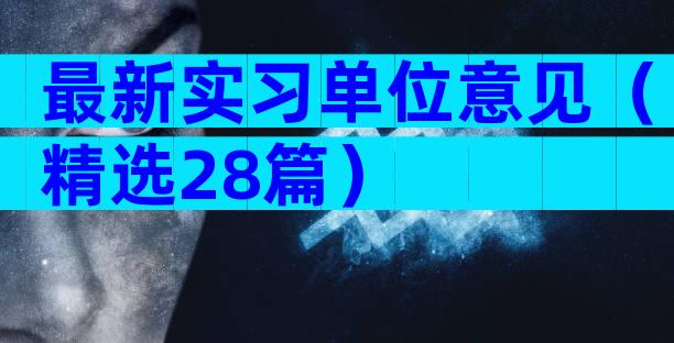 最新实习单位意见（精选28篇）