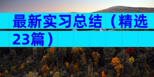 最新实习总结（精选23篇）