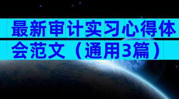 最新审计实习心得体会范文（通用3篇）