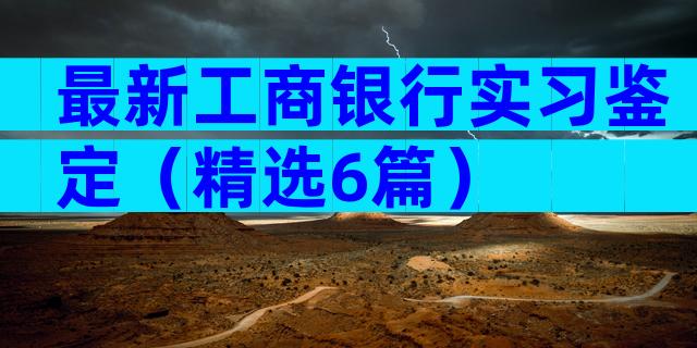 最新工商银行实习鉴定（精选6篇）