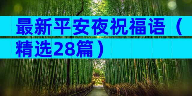最新平安夜祝福语（精选28篇）