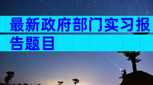 最新政府部门实习报告题目