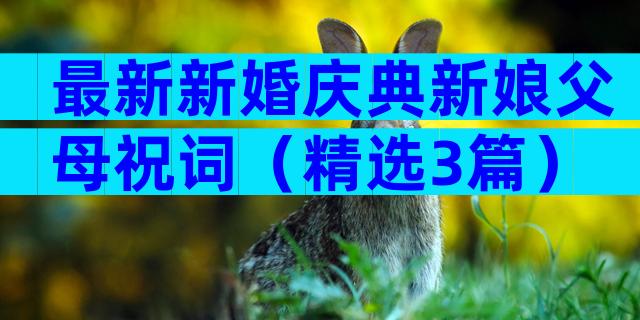 最新新婚庆典新娘父母祝词（精选3篇）