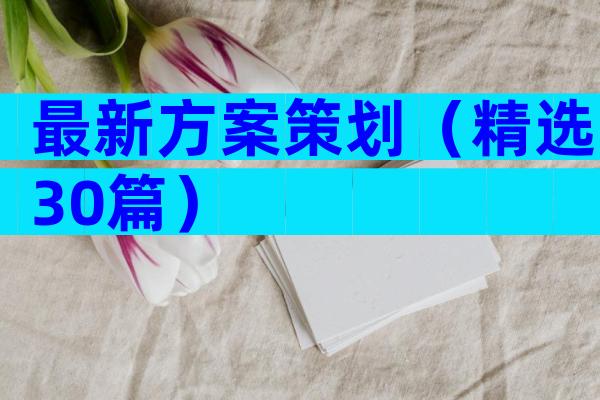 最新方案策划（精选30篇）