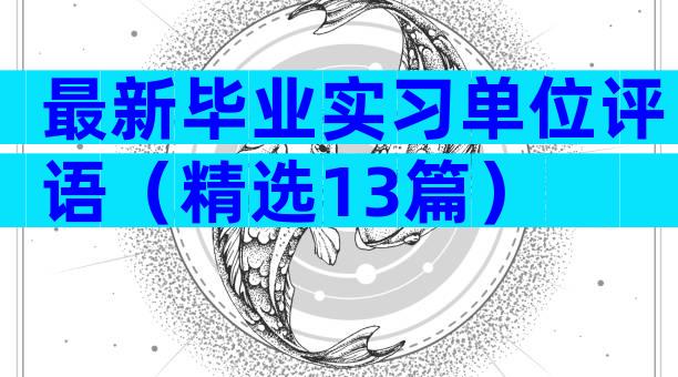 最新毕业实习单位评语（精选13篇）