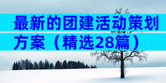 最新的团建活动策划方案（精选28篇）