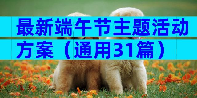 最新端午节主题活动方案（通用31篇）