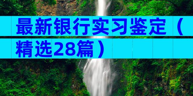 最新银行实习鉴定（精选28篇）