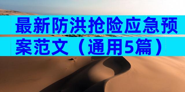 最新防洪抢险应急预案范文（通用5篇）