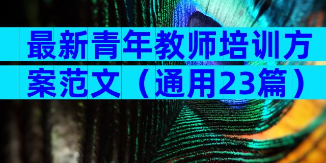 最新青年教师培训方案范文（通用23篇）