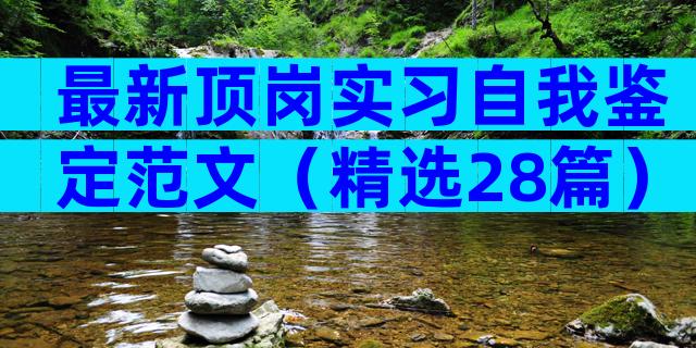 最新顶岗实习自我鉴定范文（精选28篇）
