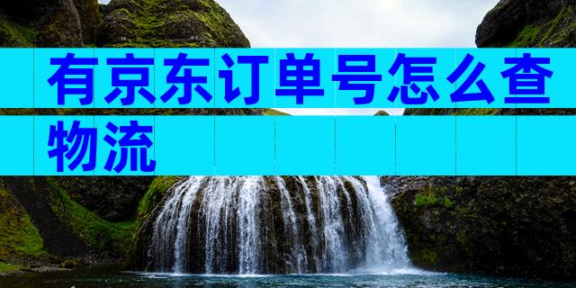 有京东订单号怎么查物流