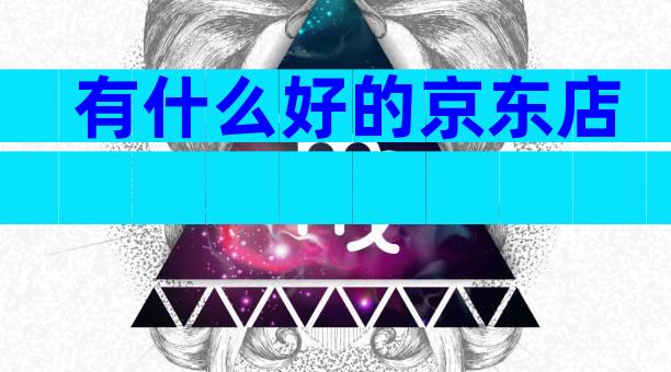 有什么好的京东店