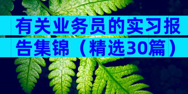 有关业务员的实习报告集锦（精选30篇）
