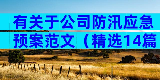 有关于公司防汛应急预案范文（精选14篇）