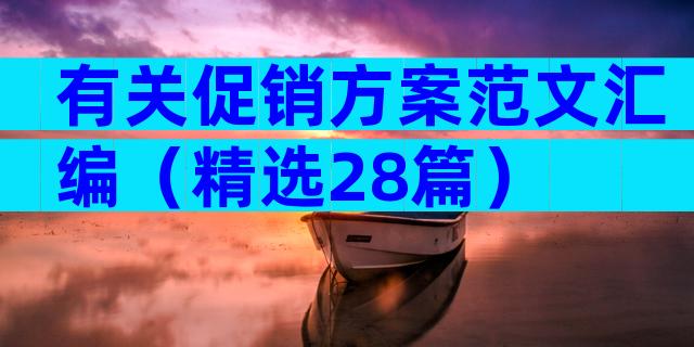 有关促销方案范文汇编（精选28篇）