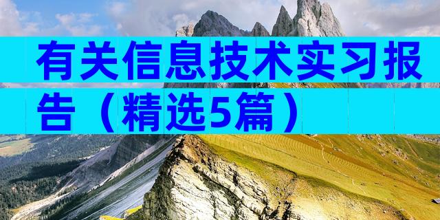 有关信息技术实习报告（精选5篇）