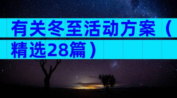 有关冬至活动方案（精选28篇）