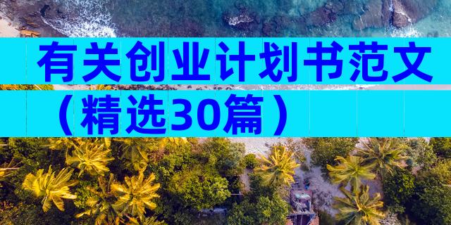有关创业计划书范文（精选30篇）