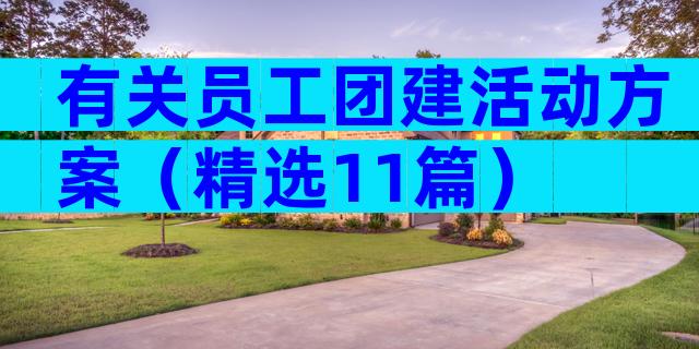 有关员工团建活动方案（精选11篇）
