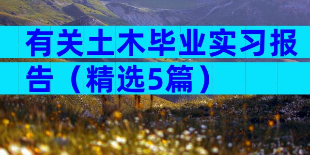 有关土木毕业实习报告（精选5篇）