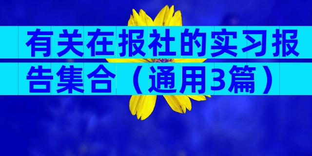 有关在报社的实习报告集合（通用3篇）
