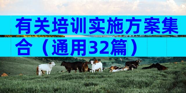 有关培训实施方案集合（通用32篇）
