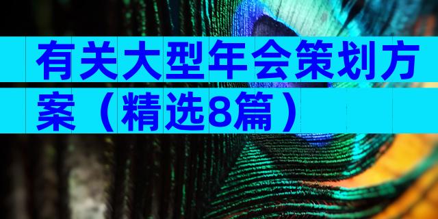 有关大型年会策划方案（精选8篇）