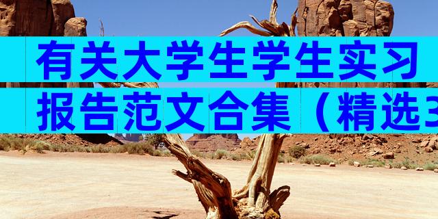 有关大学生学生实习报告范文合集（精选32篇）