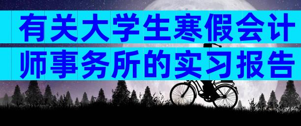 有关大学生寒假会计师事务所的实习报告（精选3篇）