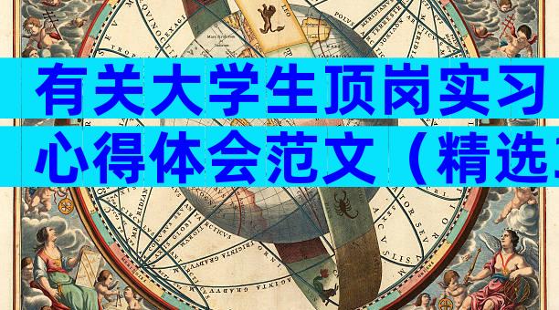 有关大学生顶岗实习心得体会范文（精选32篇）