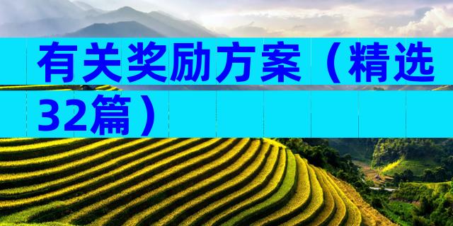 有关奖励方案（精选32篇）