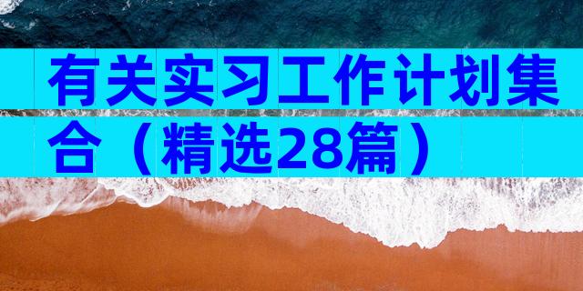 有关实习工作计划集合（精选28篇）