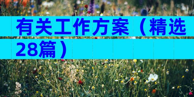 有关工作方案（精选28篇）