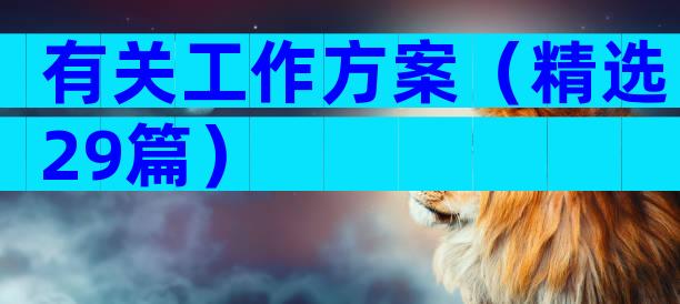 有关工作方案（精选29篇）