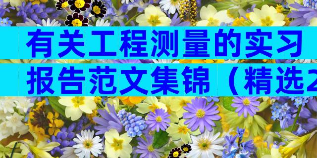 有关工程测量的实习报告范文集锦（精选28篇）